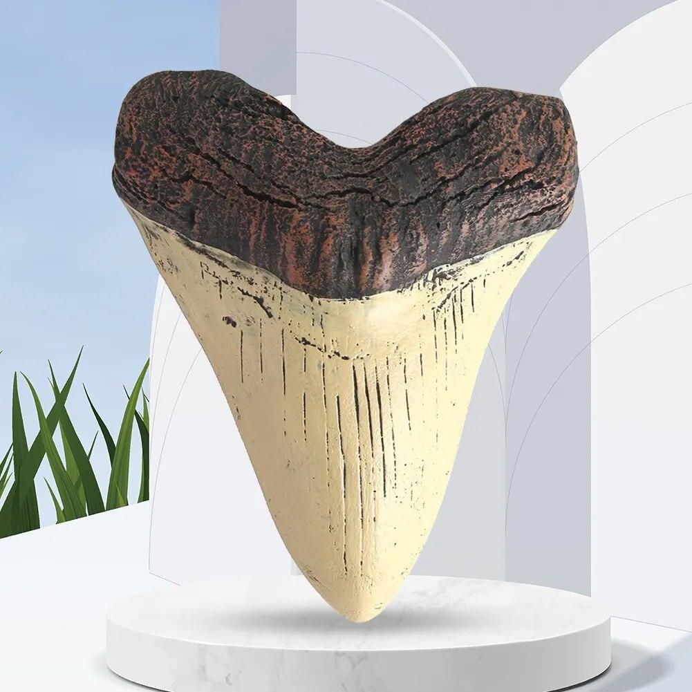 Marine Bology Teaching Props Shark Tooth Replica 5inch Shark Teeth Model Home Decoration Giant Megalodon Tooth for Kids Childs