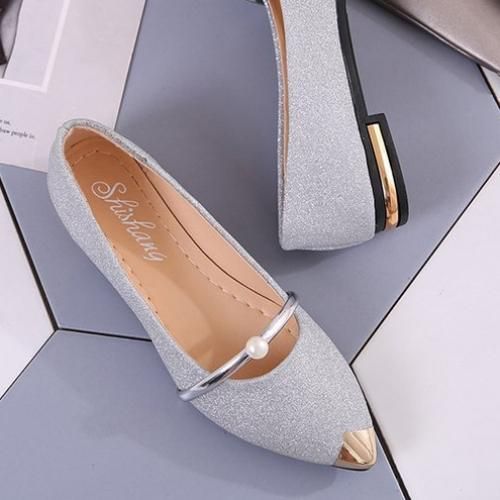 Ladies Classic Low-heeled Simple Pointed High Heels-silver