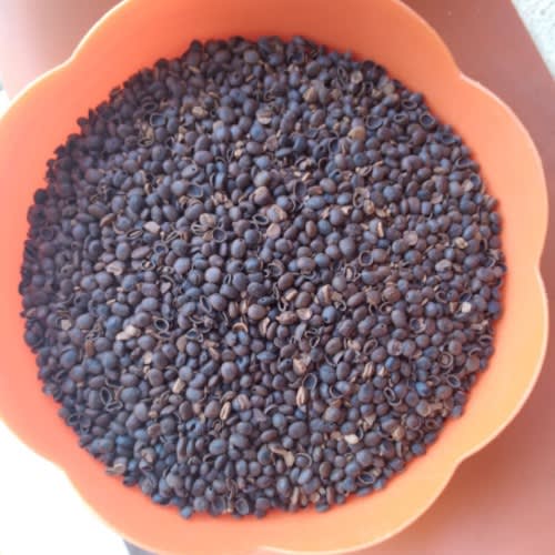 Black Coffee 1kg