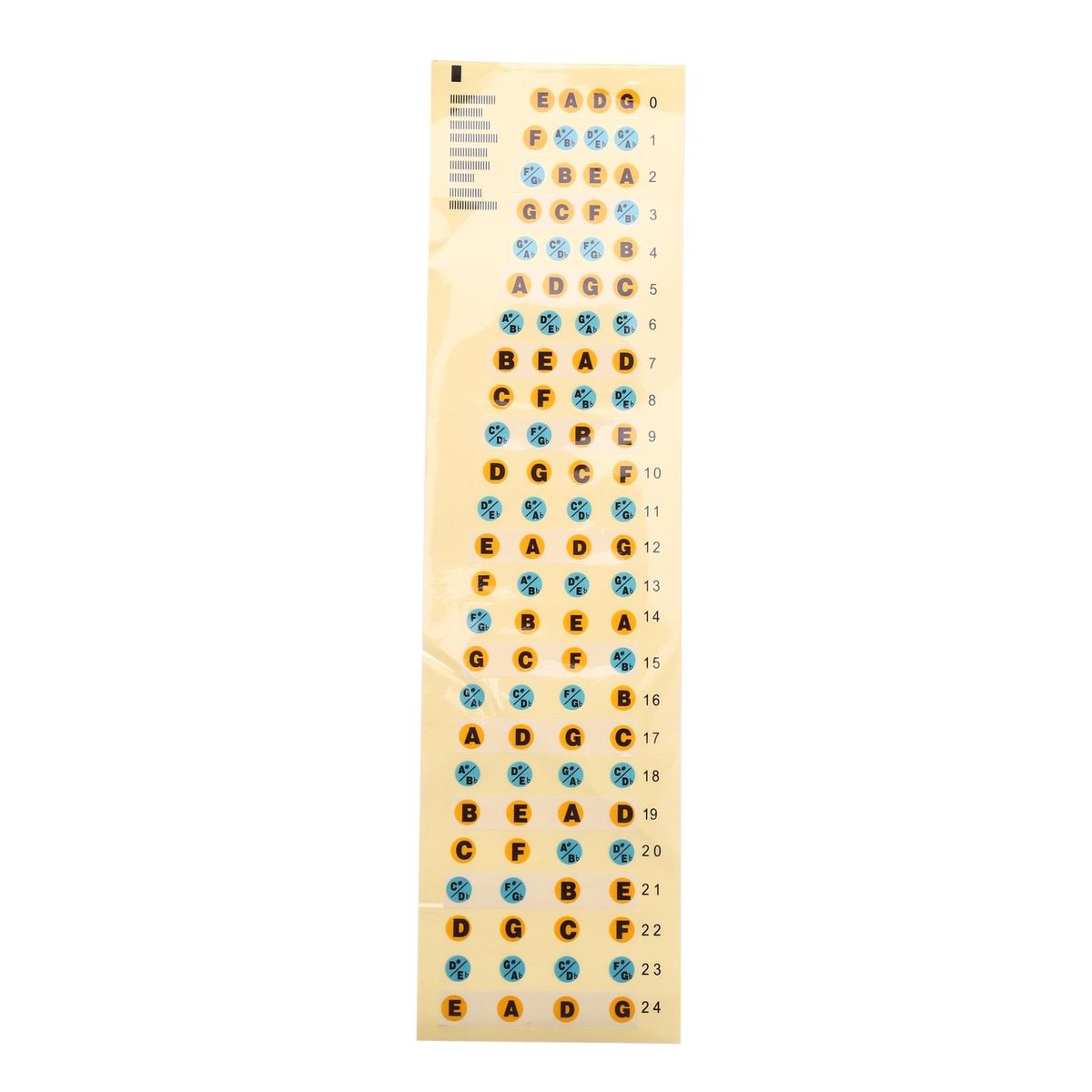 Guitar Fretboard Note Decals Fingerboard Frets Map Sticker for Beginner Learner Practice Fit 4 Strings Bass Guitar Bass-Multicolor
