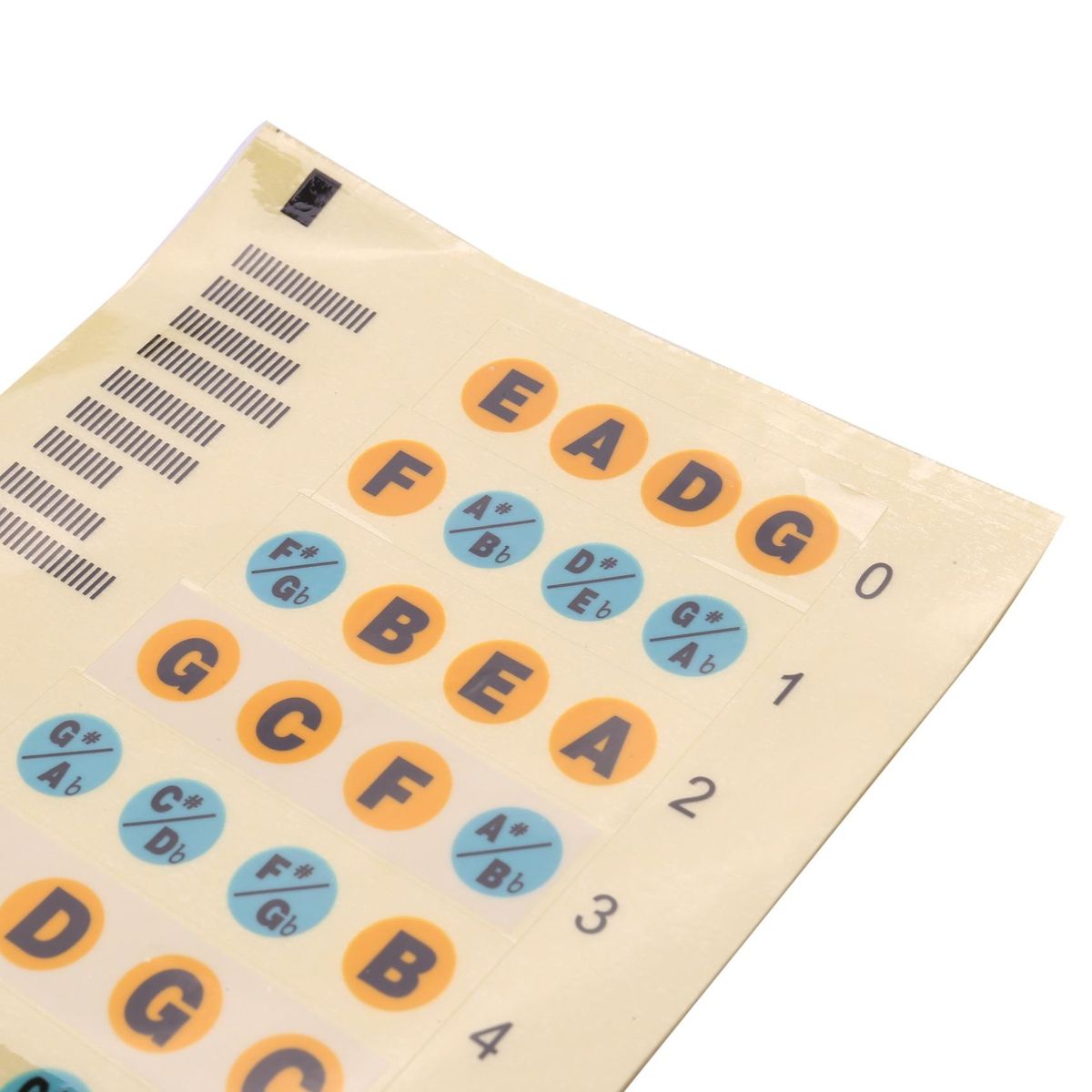 Guitar Fretboard Note Decals Fingerboard Frets Map Sticker for Beginner Learner Practice Fit 4 Strings Bass Guitar Bass-Multicolor
