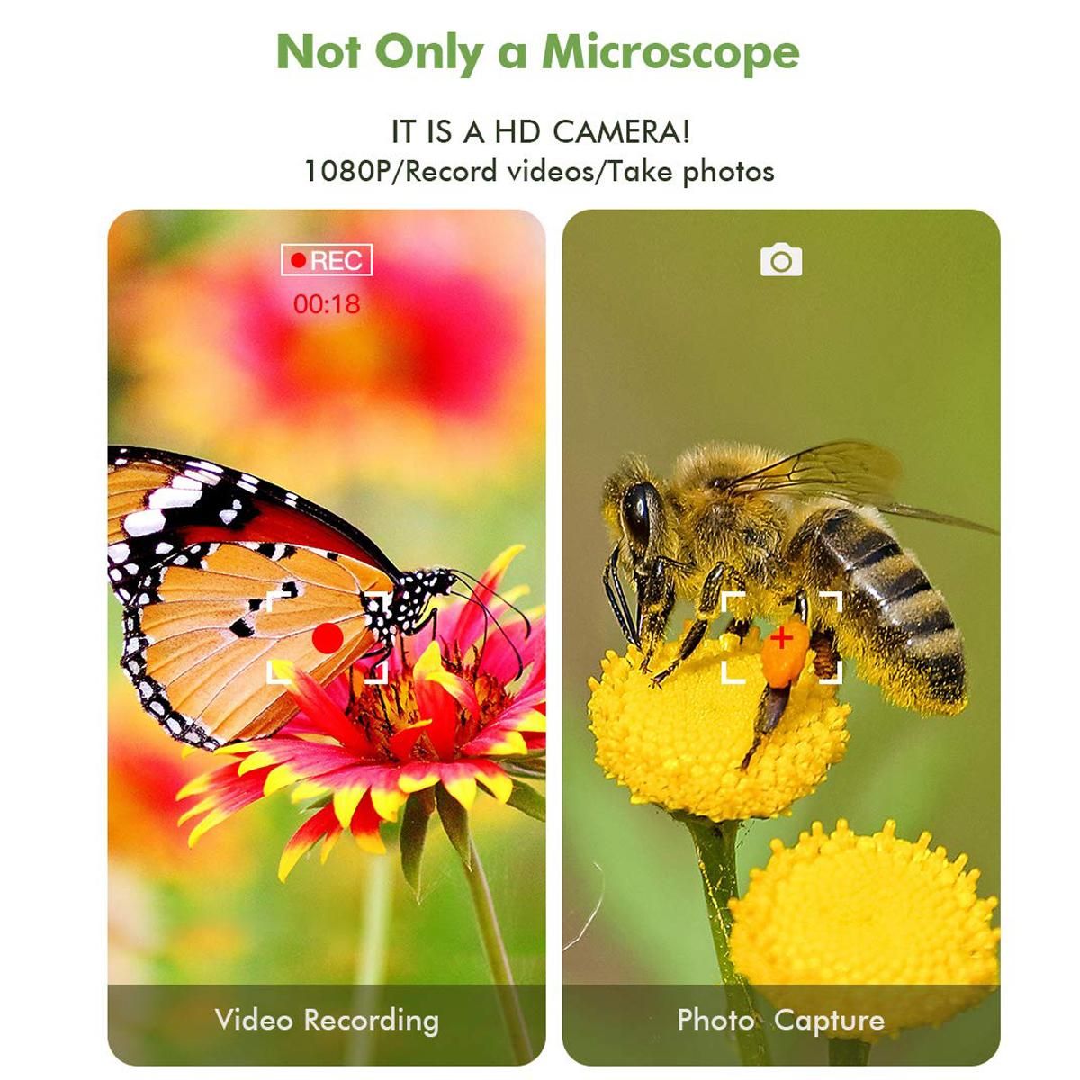 WiFi Digital Microscope HD 1080P Resolution 50 to 1000x Wireless Magnification Endoscope 8 LED Mini Camera with Updated Stand Portable Case, Compatible with iPhone iPad Android Mac Windows
