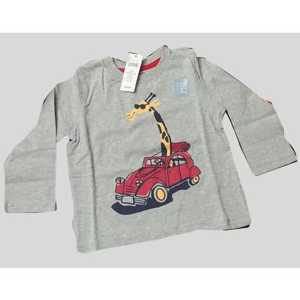 Mr Giraffe Riding Car For T-Shirt