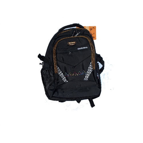 BW Lap top Bag