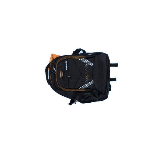 BW Lap top Bag