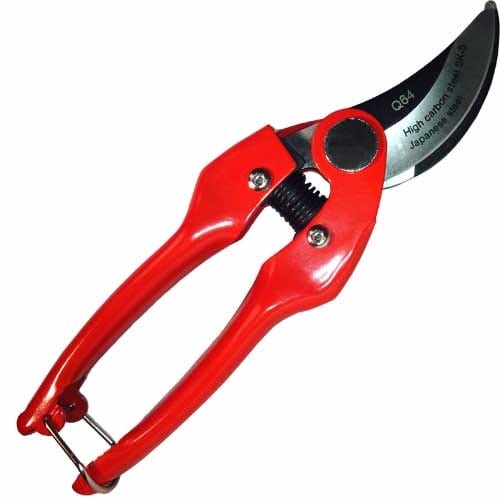 Pruning Shears