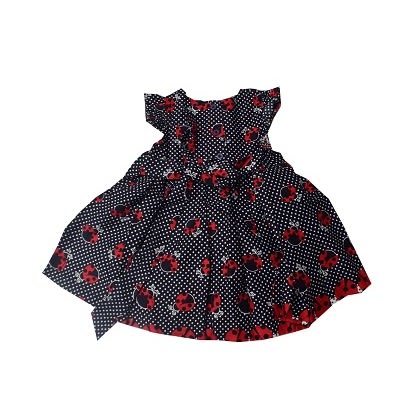 Beetle Designed Dress