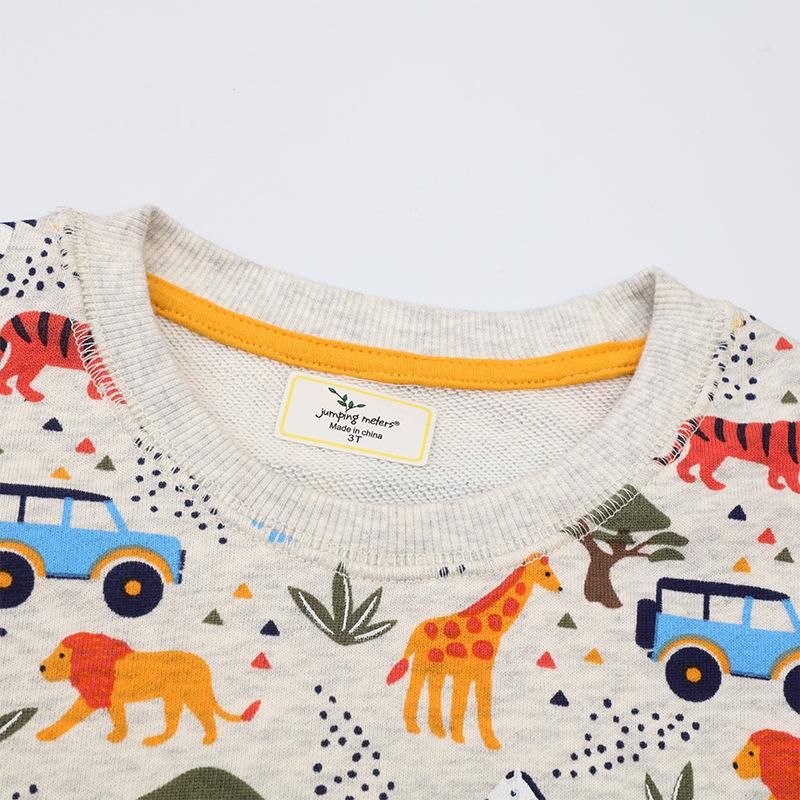Boys Sweatshirt Long Sleeve Cartoon Sweatshirt White