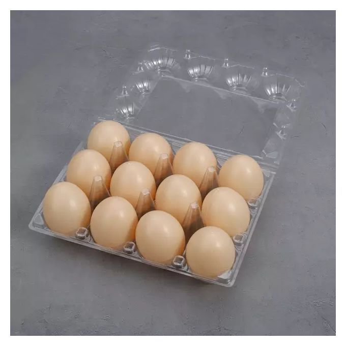 12 Holes TRANSPARENT EGG CRATES