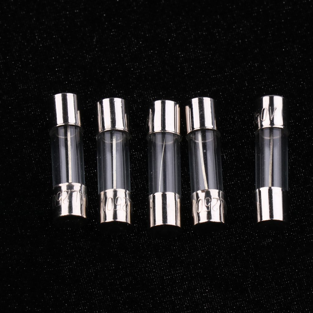 100PCS 02A 05A 1A 2A 3A 5A 6A 8A 10A 15A AGU Glass Nickel Plated