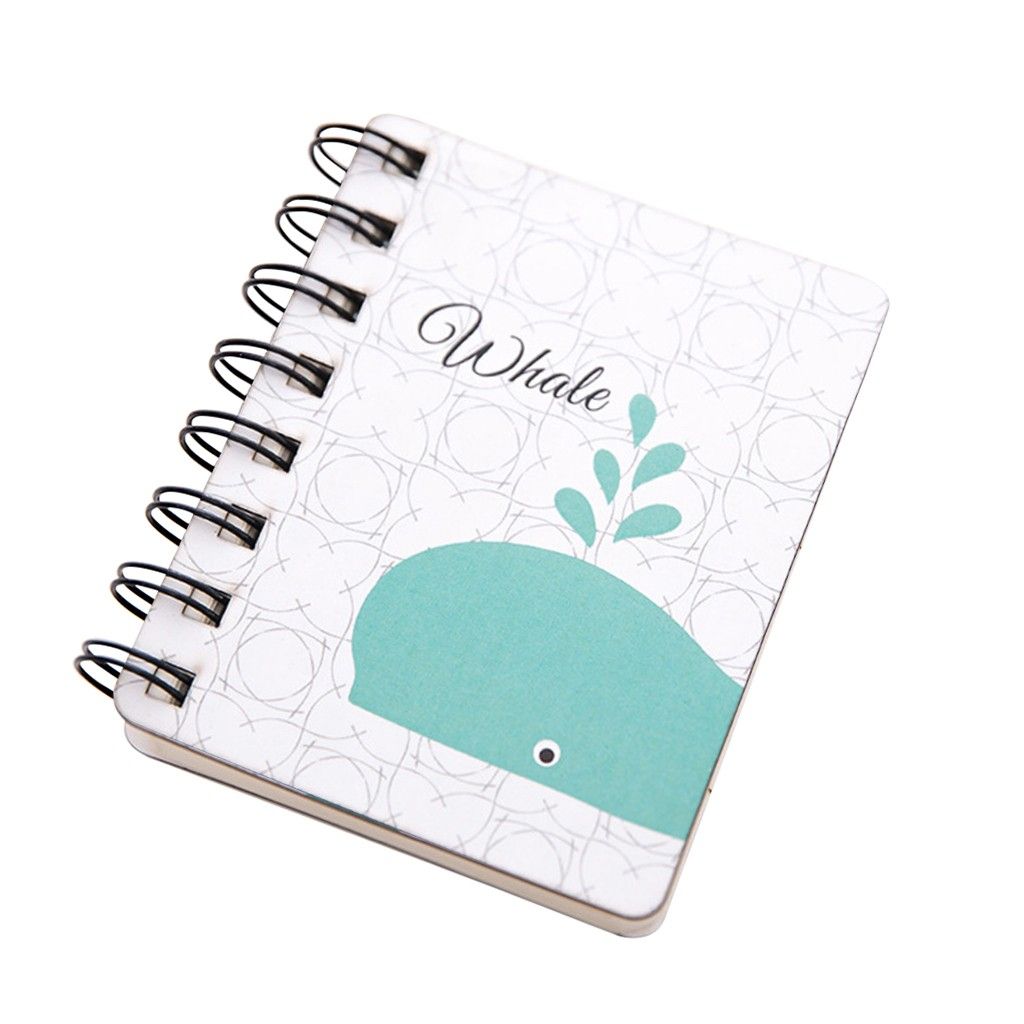Notebooks0079211