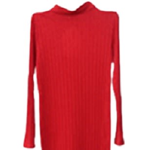 Pleated High neck Dress