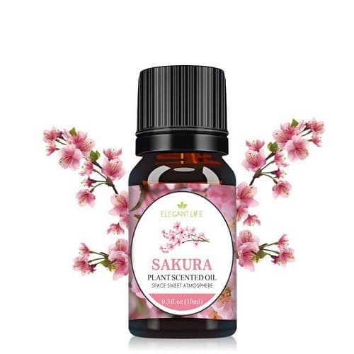 Aroma Plant Scented Oil Fragrance Oil (10ml)- Sakura