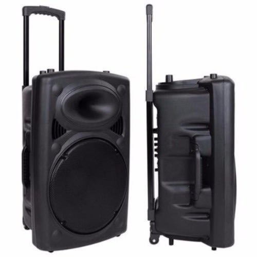 Rechargeable Bluetooth Pa Speaker System With Wireless Microphone Radio & Sd/usb Slots