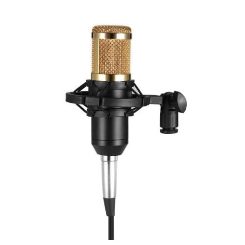 Condenser Microphone With Tripod