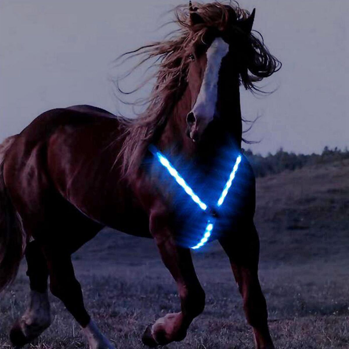 LED Horse Collar Breastplate Hi-Visible Saddle Halter For Blue