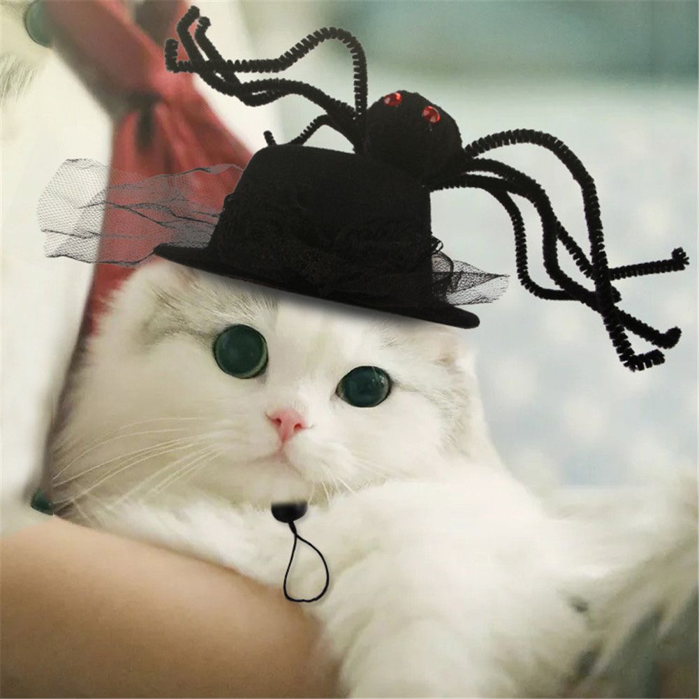 Pet Halloween Costumes Cat Hat Dog Hat Pet Cosplay Clothes