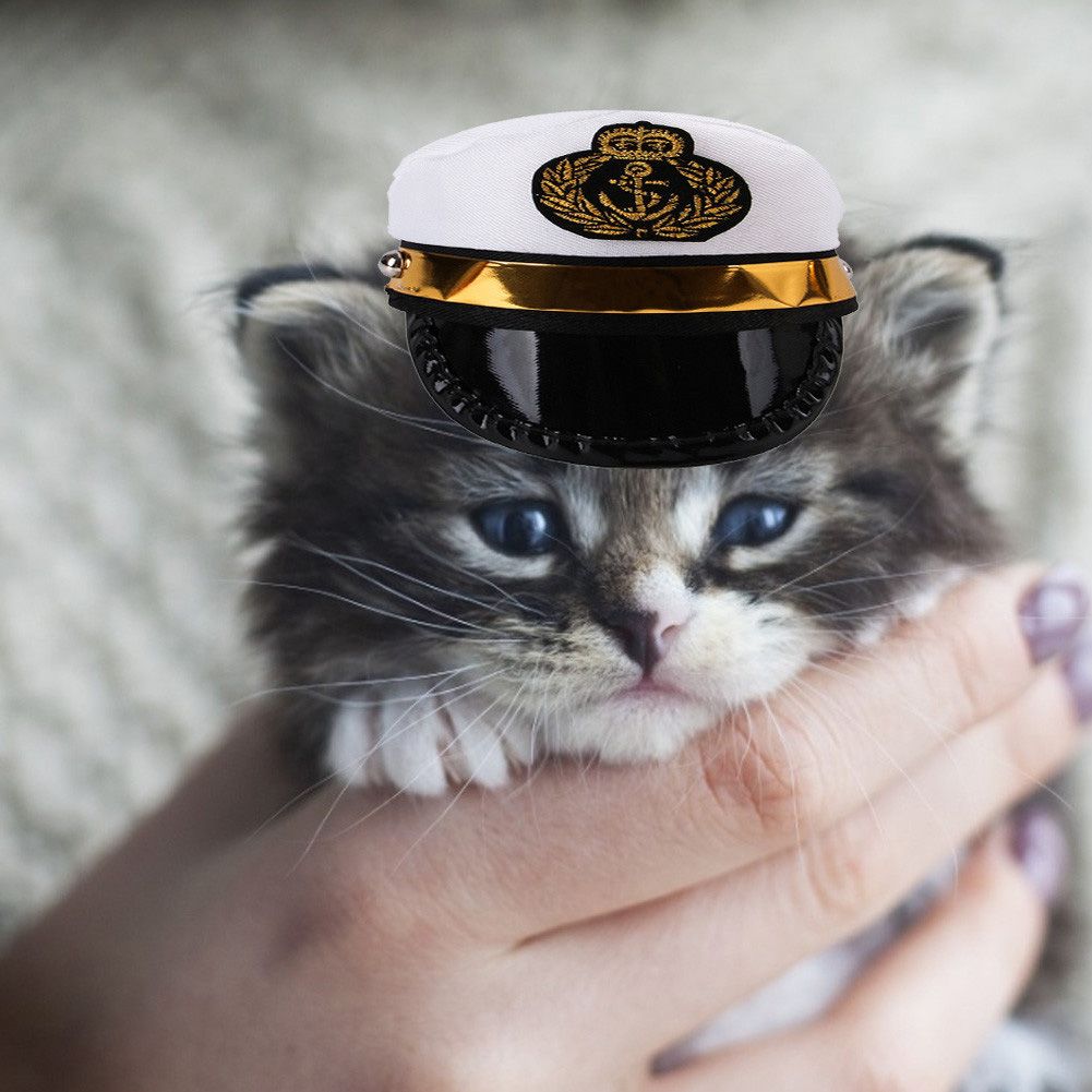 Pet Halloween Costumes Cat Hat Dog Hat Pet Cosplay Clothes
