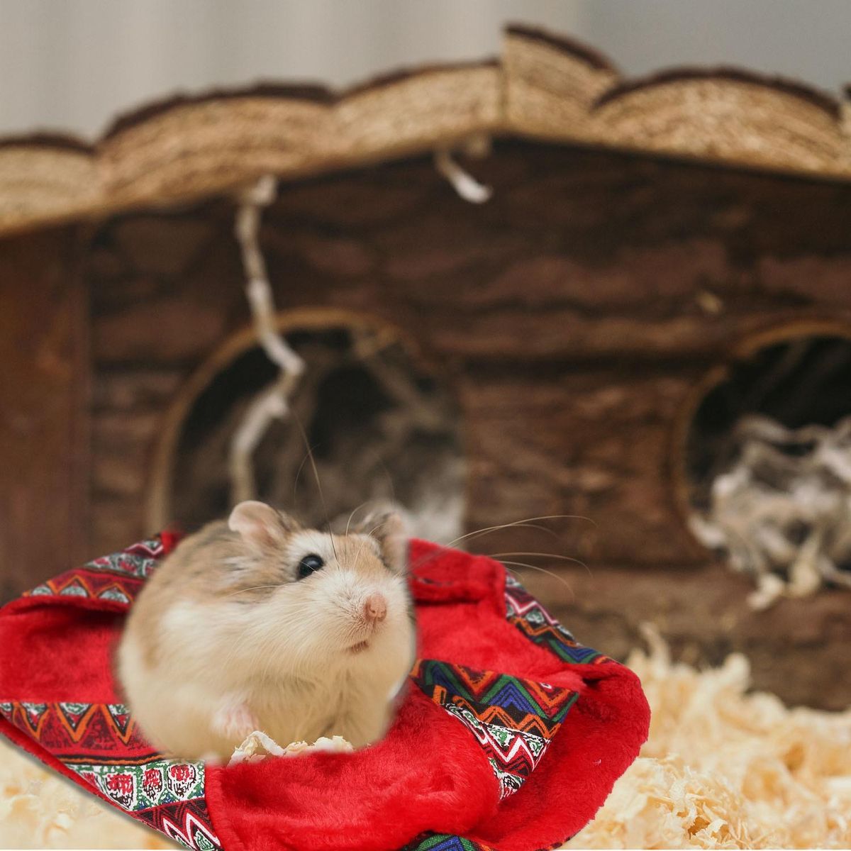 Hamster Double Sided Cage Hammock Pet Sleeping Bag
