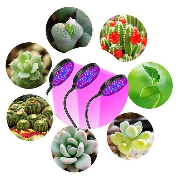 Grow Light Red Blue Spectrum Flower Growing Light UV Veg Triple Heads