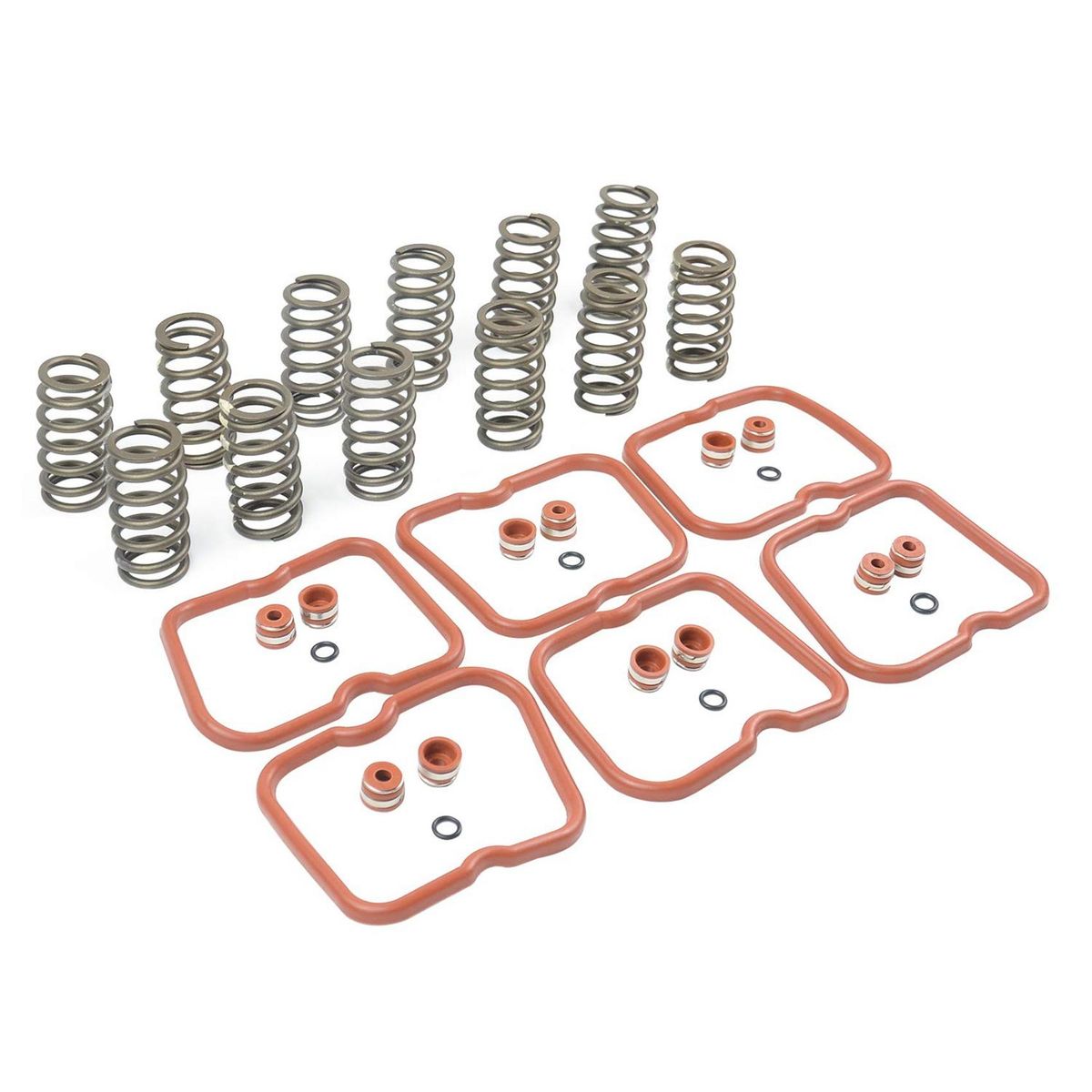 60Lb Valve Springs 3916691 with Gaskets O-Rings Stem Seals