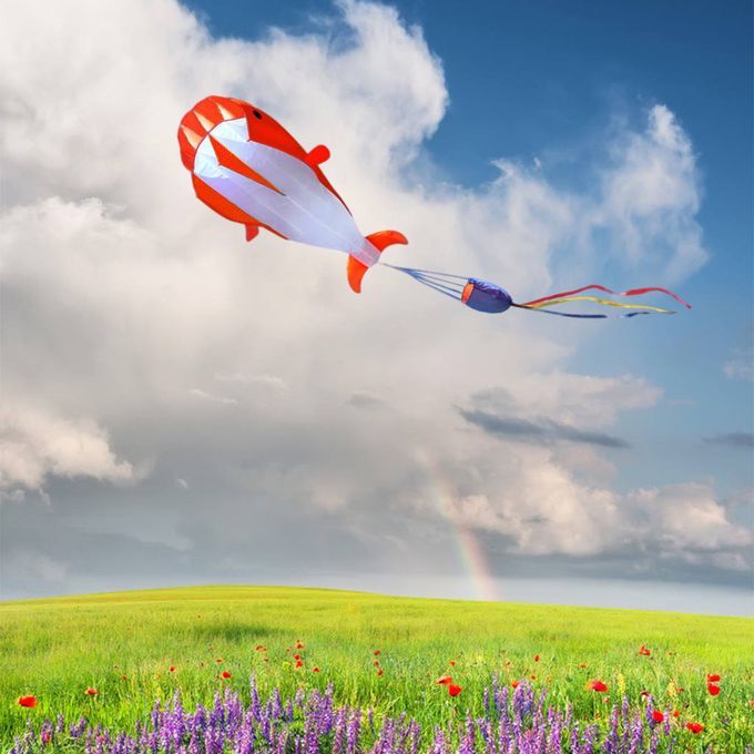 3D Kite Large Dolphin Breeze Beach Kites With Huge Frameless Red