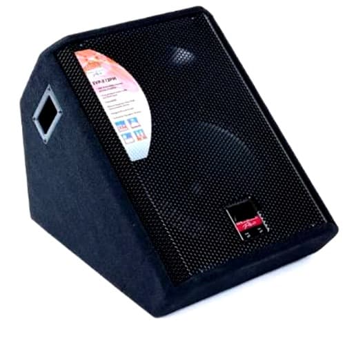 EVP Professional Floor Monitor Speakers - 2 Pieces