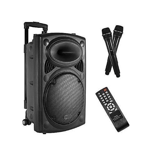 12'' Rechargeable Public Address System With Bluetooth Connectivity+ 2 Microphones