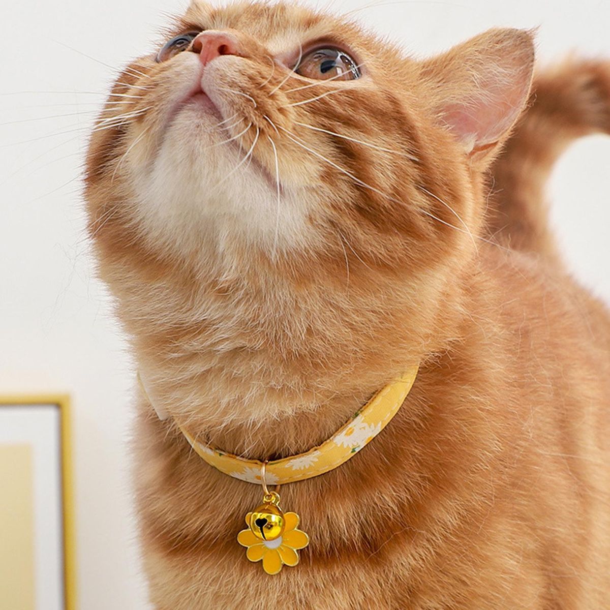 Pet Neck Strap Colorful Sunflower Pet Cat Collar Ornament Yellow