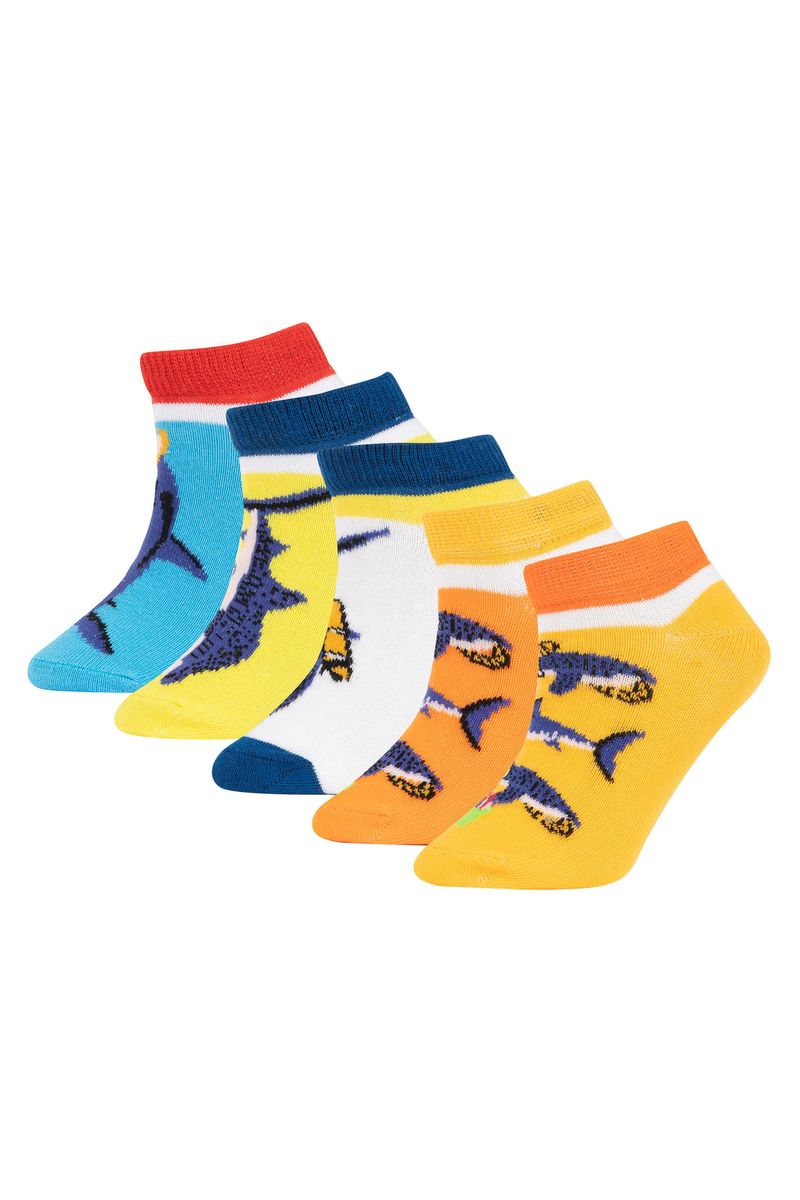 5 Piece Boy Casual Low Cut Low Cut Socks - Karma