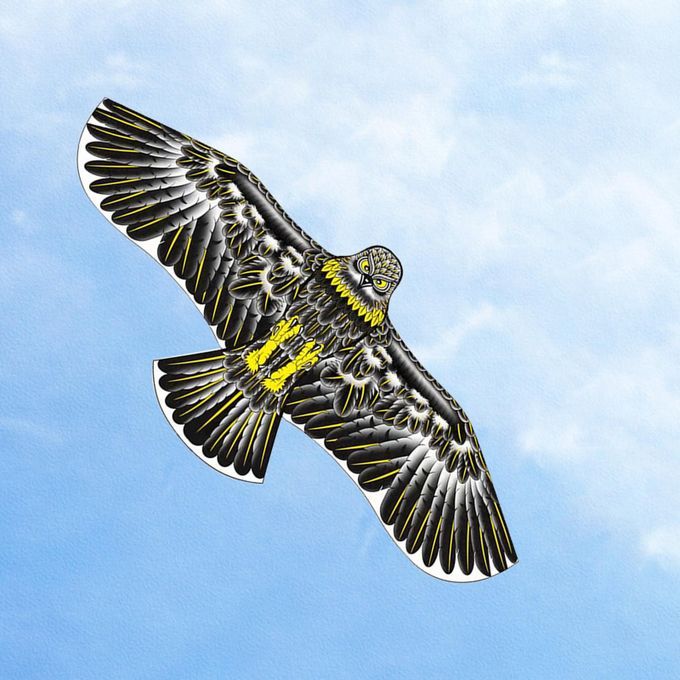 Kids Eagle Kite Kids Toys DIY Toy Children Flying Game For Black