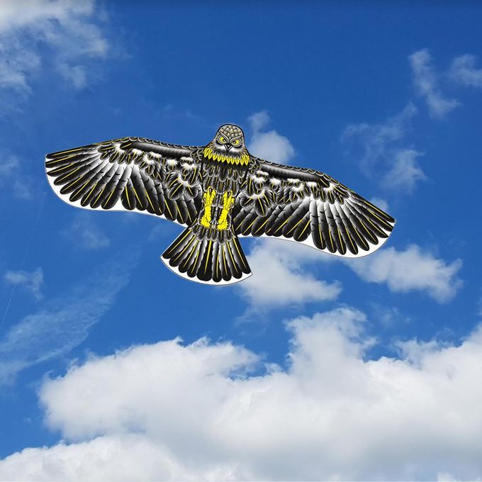 Kids Eagle Kite Kids Toys DIY Toy Children Flying Game For Black