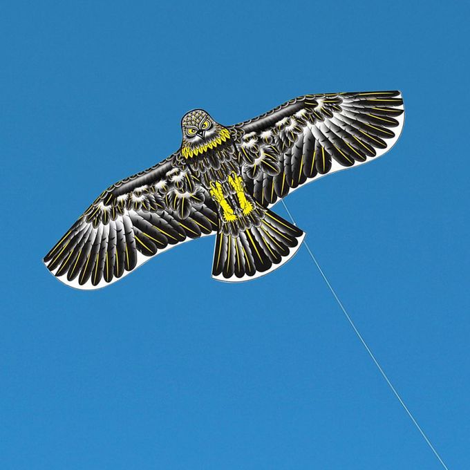 Kids Eagle Kite Kids Toys DIY Toy Children Flying Game For Black