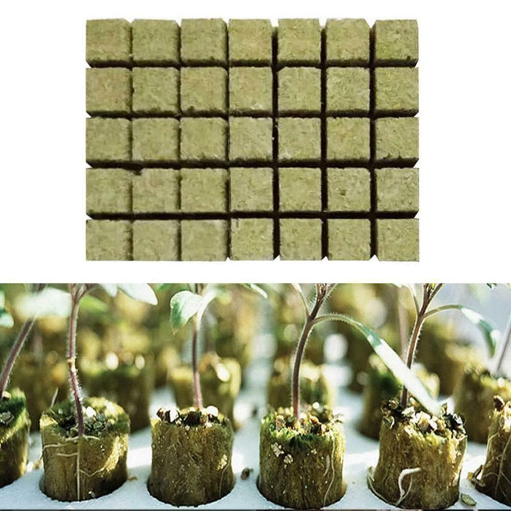 50pcs Grow Plug A Pack Grodan 1 "Starter Cubes Plugs-hydroponic Rockwool Grow Media. Spread Cloning Rock Wool Cubes