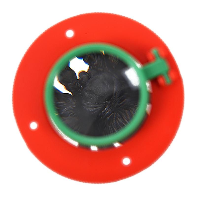 4X Two Lens Insect Viewer Locket Box Magnifier Bug