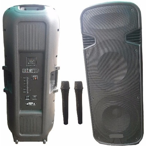 Full Range Rechargeable PA System with Dual Wireless Microphone