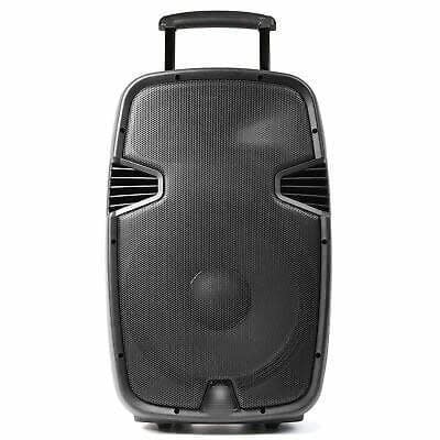Rechargeable Bluetooth Pa System With Wireless Microphone And Radio