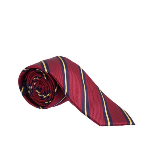 Striped Tie & Pocket Square - Wine & Gold