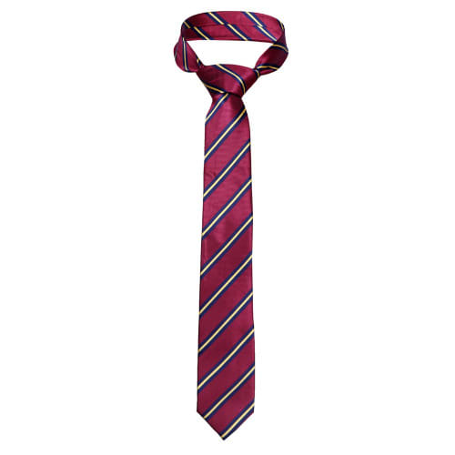 Striped Tie & Pocket Square - Wine & Gold