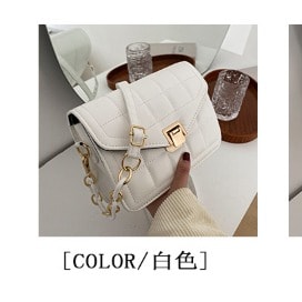 Ladies Handbag
