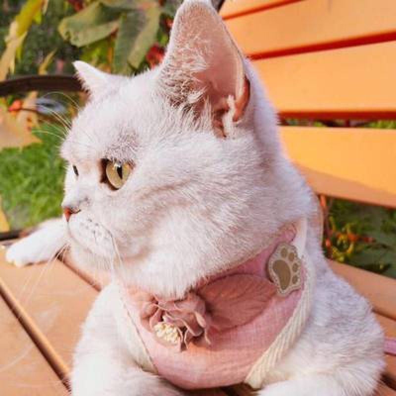2 PCS Dog Leashes Chest Straps