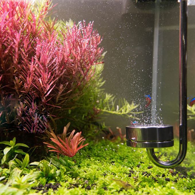 Aquarium Carbon Dioxide CO2 Reactor Regulator Diffuser With 10pcs