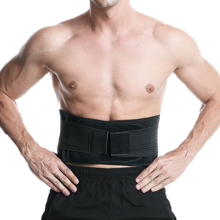 Fitness Steel Plate Back Support Belt, Specification: L