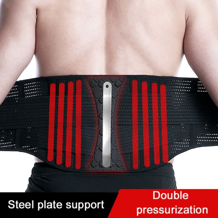 Fitness Steel Plate Back Support Belt, Specification: L