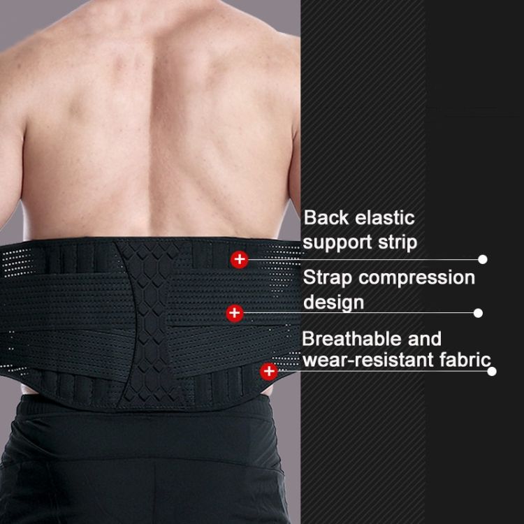 Fitness Steel Plate Back Support Belt, Specification: L