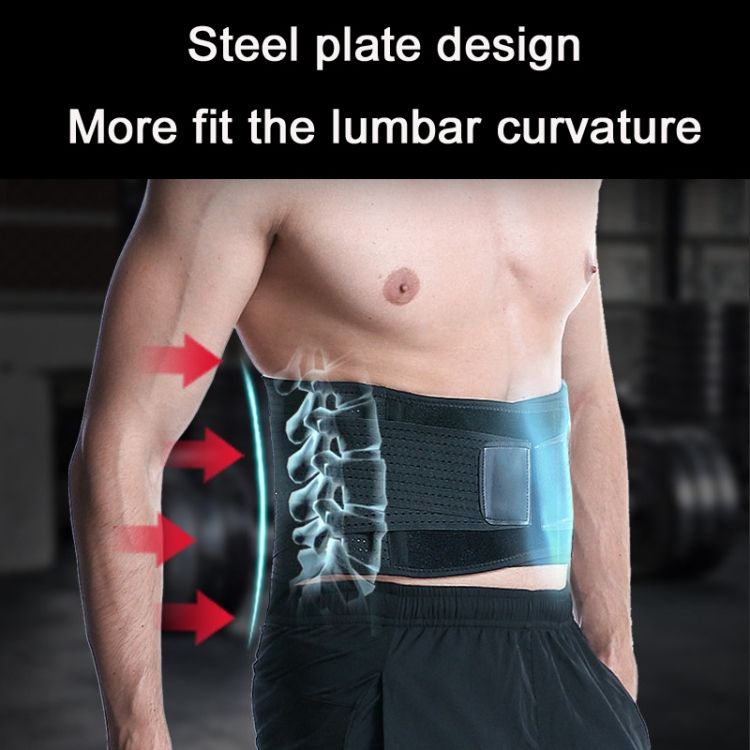 Fitness Steel Plate Back Support Belt, Specification: L