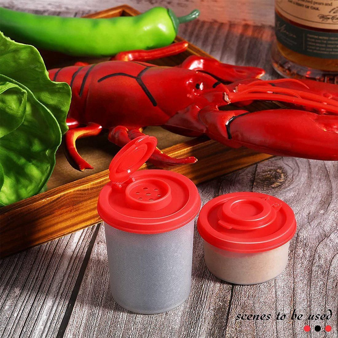 4 Pieces Salt and Pepper Shakers Spice Containers with Lids