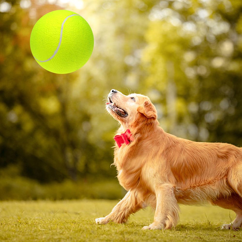9.5" Oversize Giant Tennis Ball For Children Fun