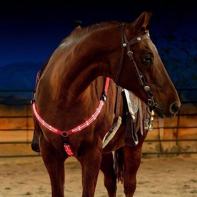 3pack LED Horse Breastplate Collar Halter High Visibility Night Riding