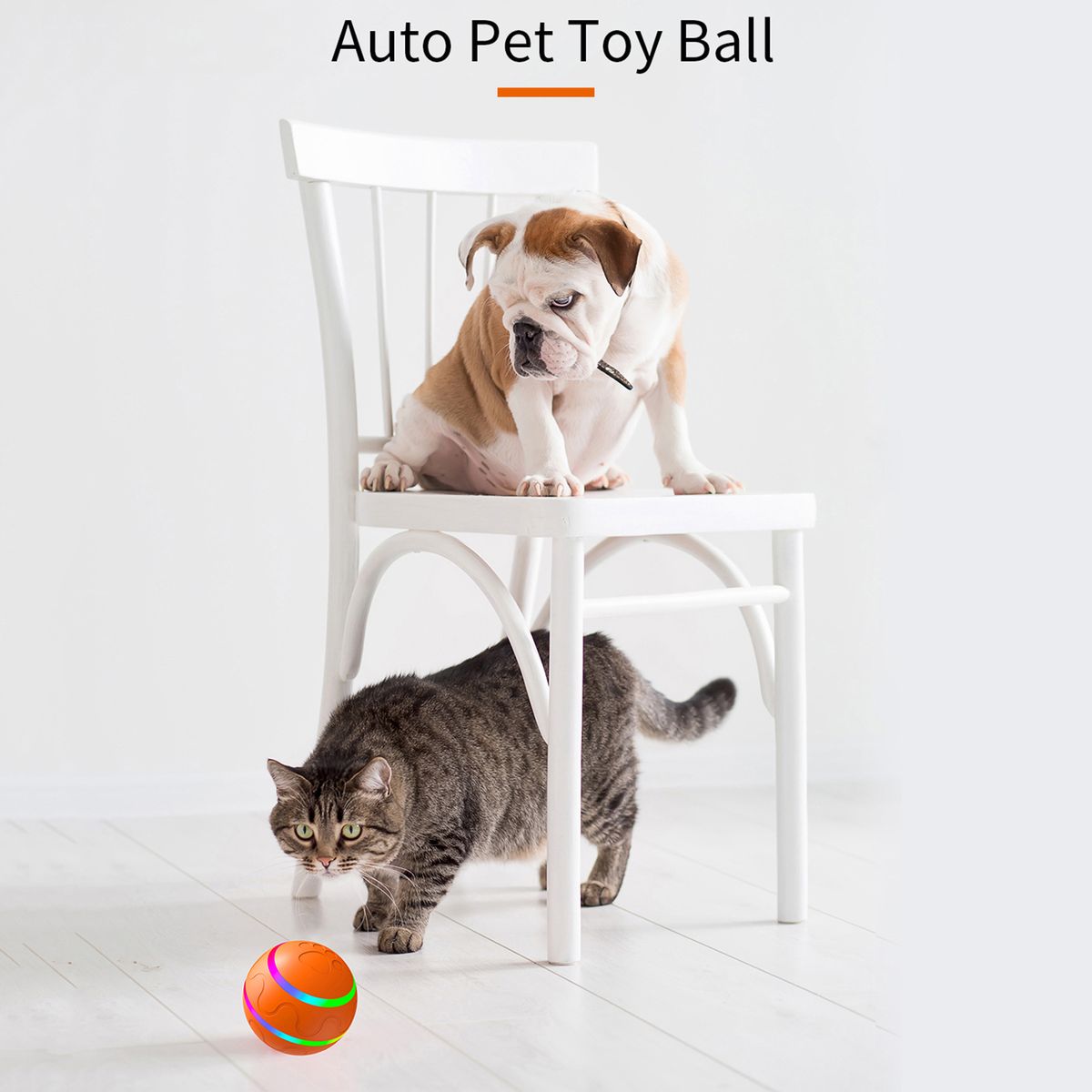 Dog Ball Toy Interactive Puppy Cat Pet Rolling Toy Remote